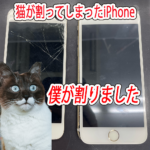 猫がiPhoneの画面を割ってしまう時もありますご注意を！